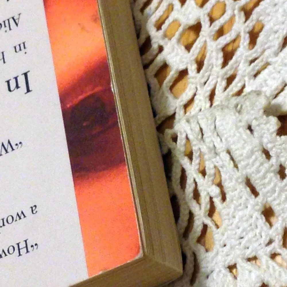Alice Munro $10 book